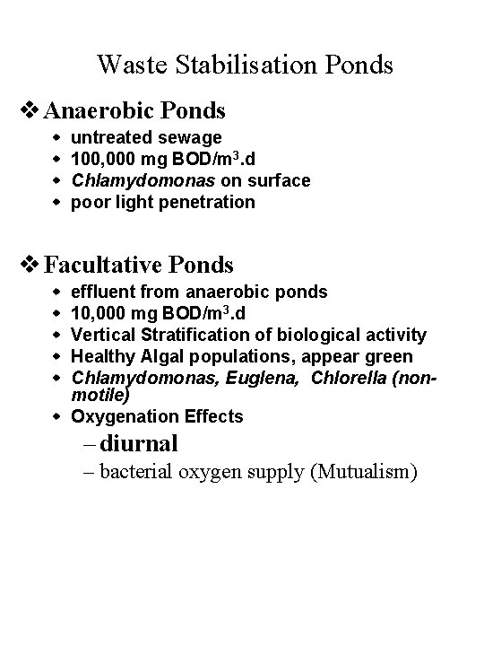 Waste Stabilisation Ponds v Anaerobic Ponds w w untreated sewage 100, 000 mg BOD/m
