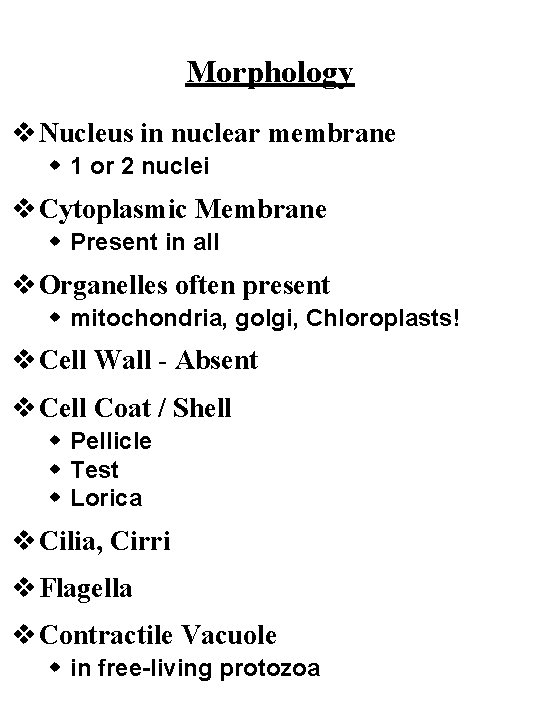 Morphology v Nucleus in nuclear membrane w 1 or 2 nuclei v Cytoplasmic Membrane