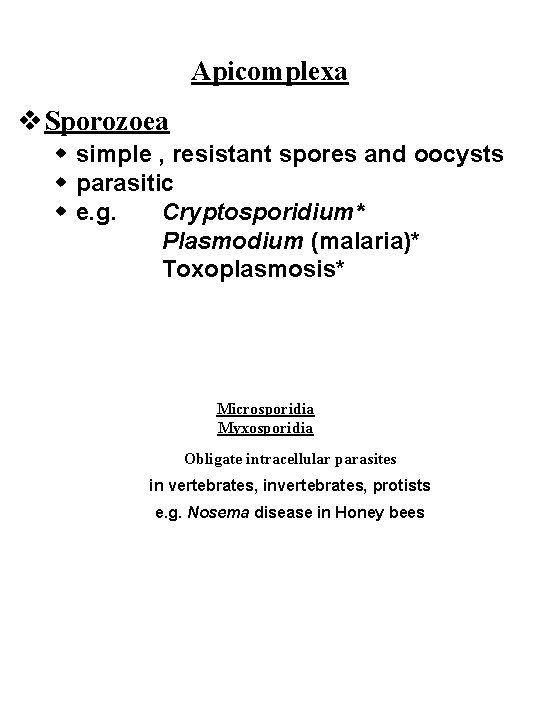 Apicomplexa v Sporozoea w simple , resistant spores and oocysts w parasitic w e.