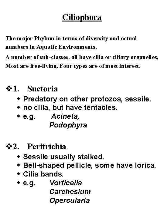 Ciliophora The major Phylum in terms of diversity and actual numbers in Aquatic Environments.