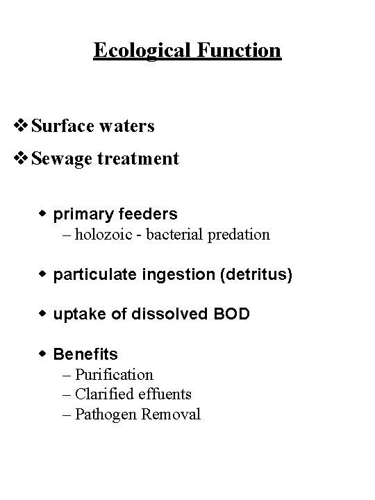 Ecological Function v Surface waters v Sewage treatment w primary feeders – holozoic -
