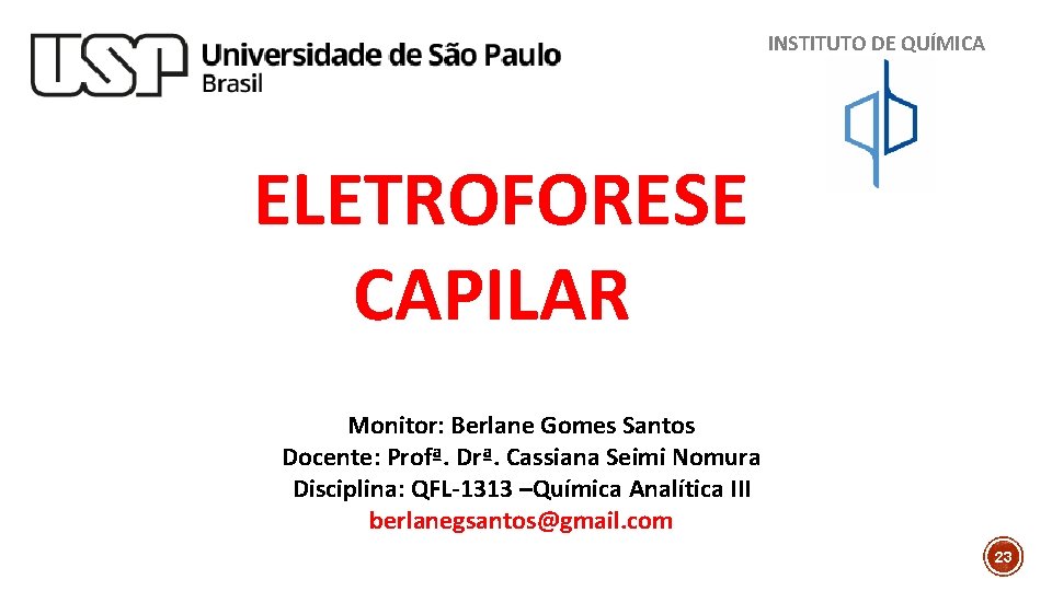 INSTITUTO DE QUÍMICA ELETROFORESE CAPILAR Monitor: Berlane Gomes Santos Docente: Profª. Drª. Cassiana Seimi