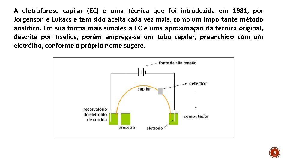 A eletroforese capilar (EC) é uma técnica que foi introduzida em 1981, por Jorgenson