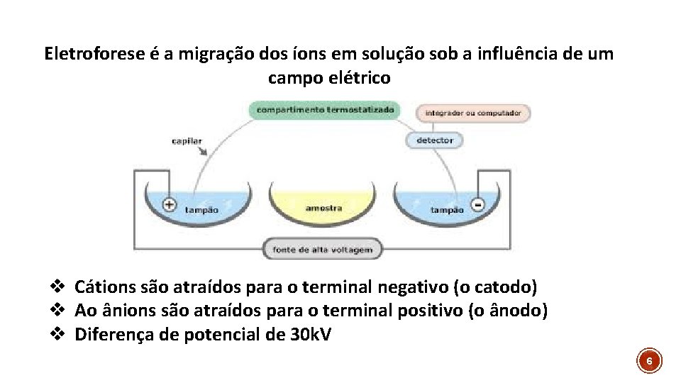 Eletroforese é a migração dos íons em solução sob a influência de um campo