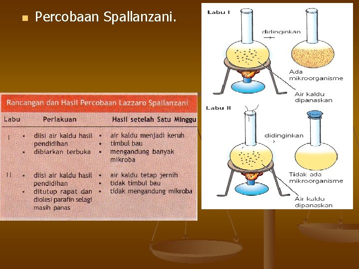 n Percobaan Spallanzani. 