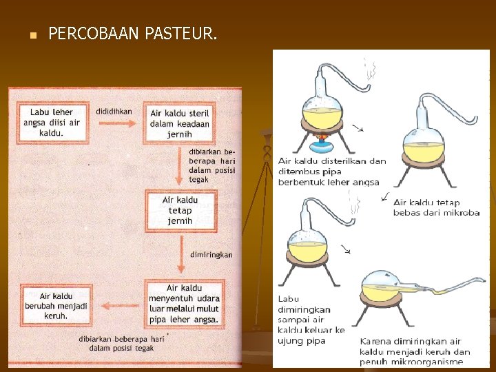 n PERCOBAAN PASTEUR. 