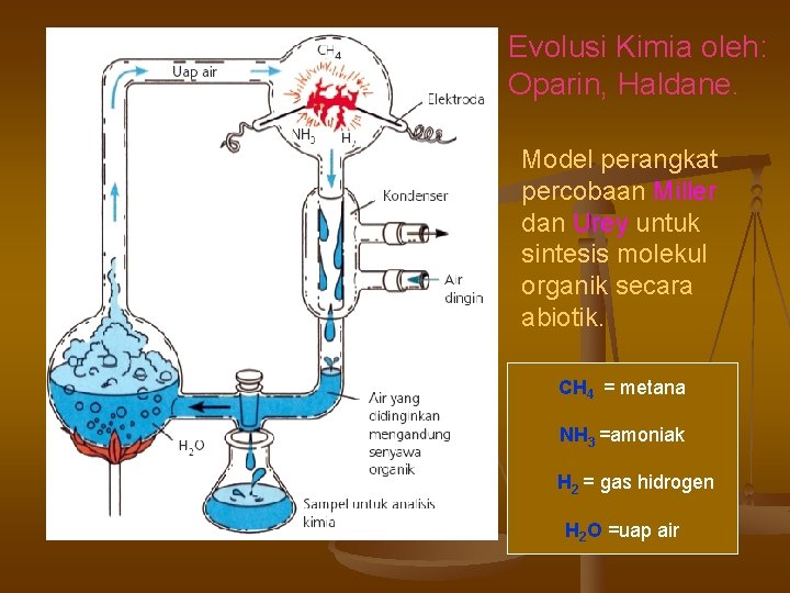 Evolusi Kimia oleh: Oparin, Haldane. Model perangkat percobaan Miller dan Urey untuk sintesis molekul