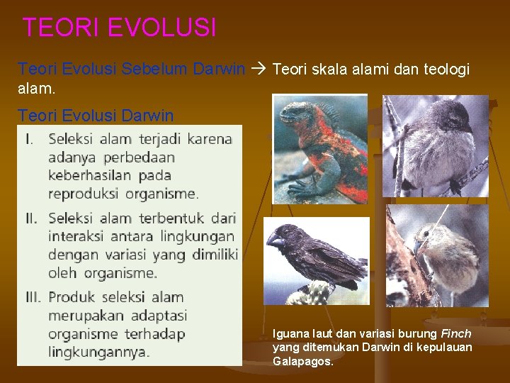 TEORI EVOLUSI Teori Evolusi Sebelum Darwin Teori skala alami dan teologi alam. Teori Evolusi