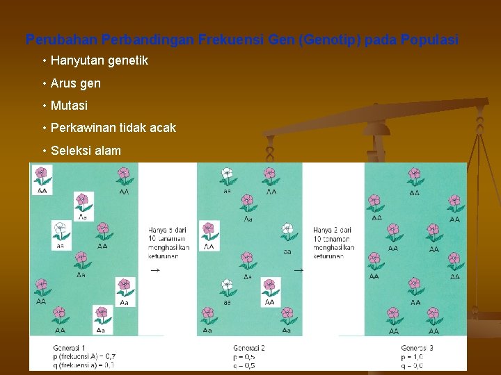 Perubahan Perbandingan Frekuensi Gen (Genotip) pada Populasi • Hanyutan genetik • Arus gen •