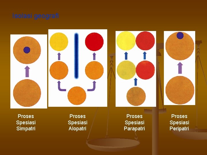 Isolasi geografi Proses Spesiasi Simpatri Proses Spesiasi Alopatri Proses Spesiasi Parapatri Proses Spesiasi Peripatri