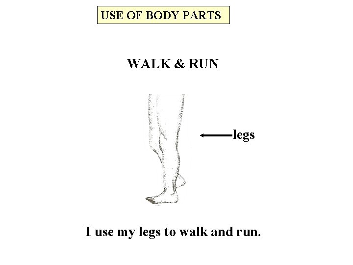 USE OF BODY PARTS WALK & RUN legs I use my legs to walk