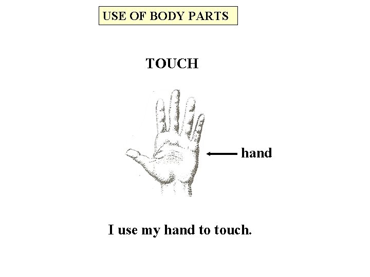 USE OF BODY PARTS TOUCH hand I use my hand to touch. 