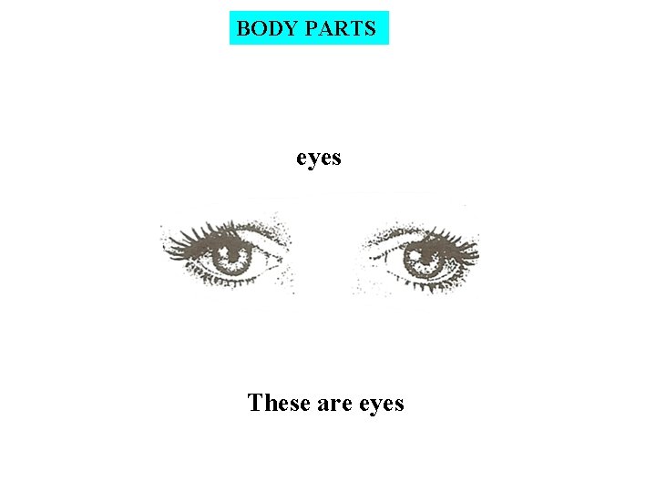 BODY PARTS eyes These are eyes 