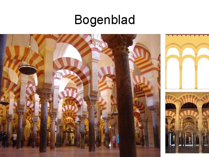 Bogenblad 