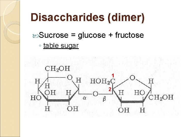 Disaccharides (dimer) Sucrose = glucose + fructose ◦ table sugar 1 2 