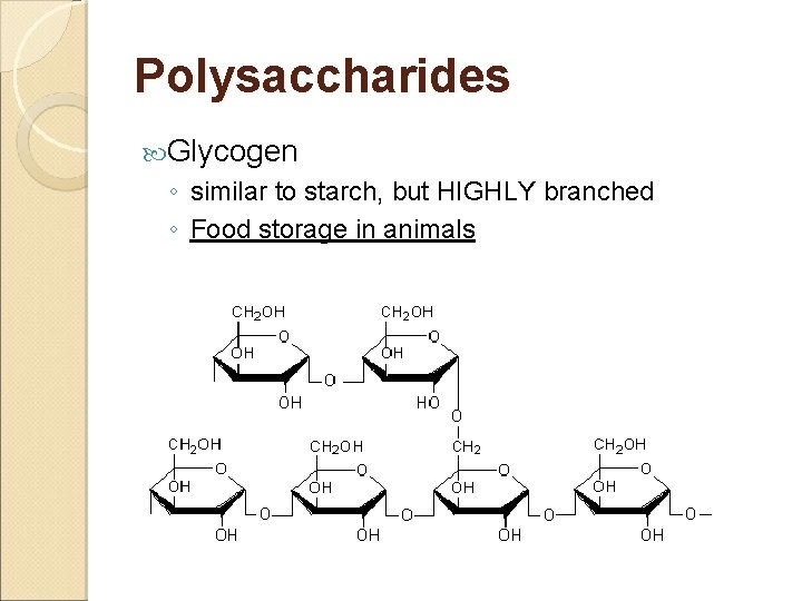 Polysaccharides Glycogen ◦ similar to starch, but HIGHLY branched ◦ Food storage in animals