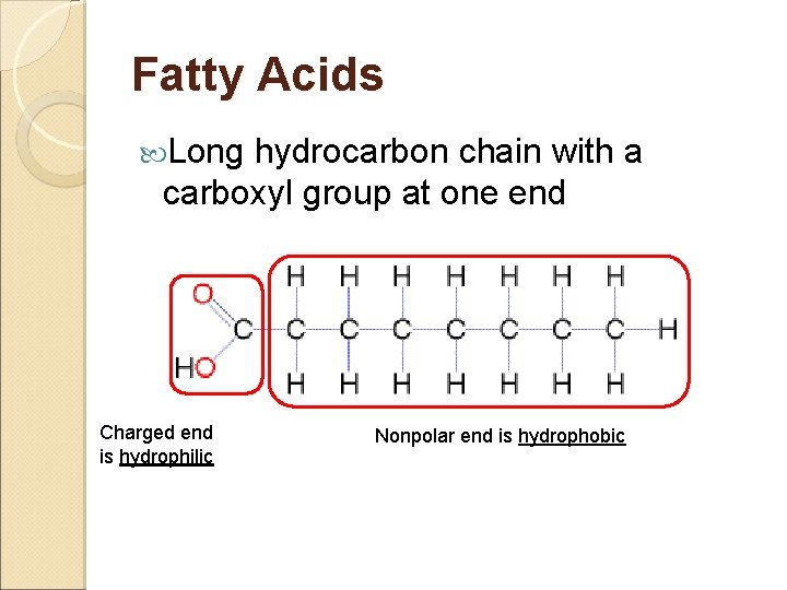 Fatty Acids Long hydrocarbon chain with a carboxyl group at one end Charged end