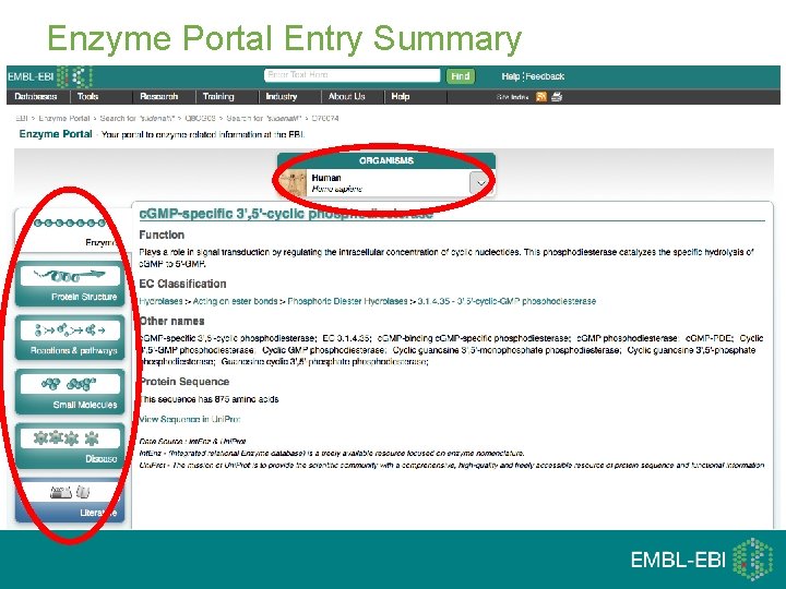 Enzyme Portal Entry Summary 