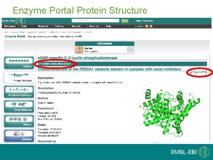 Enzyme Portal Protein Structure 