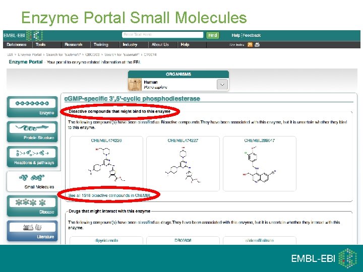 Enzyme Portal Small Molecules 