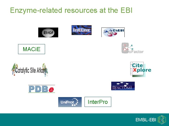 Enzyme-related resources at the EBI MACi. E Inter. Pro 