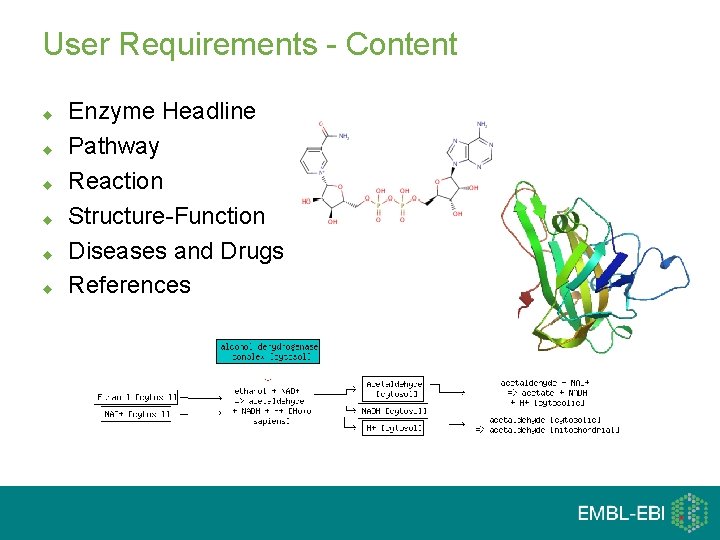 User Requirements - Content u u u Enzyme Headline Pathway Reaction Structure-Function Diseases and