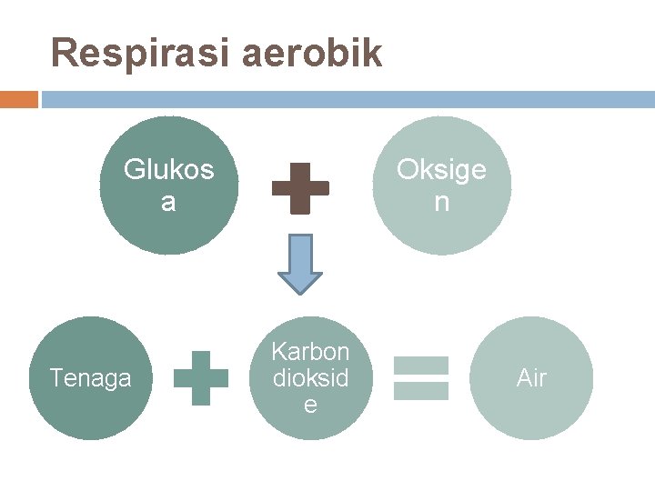 Respirasi aerobik Glukos a Tenaga Oksige n Karbon dioksid e Air 