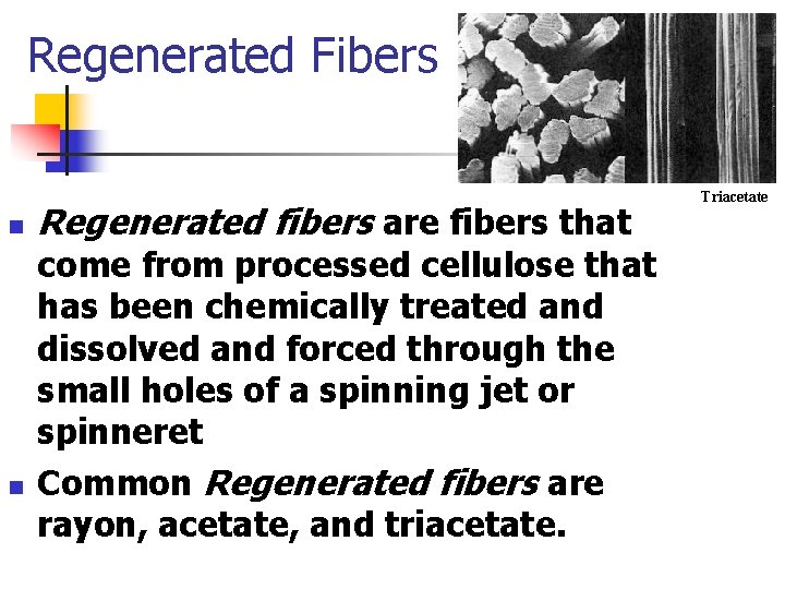 Regenerated Fibers n n Regenerated fibers are fibers that come from processed cellulose that