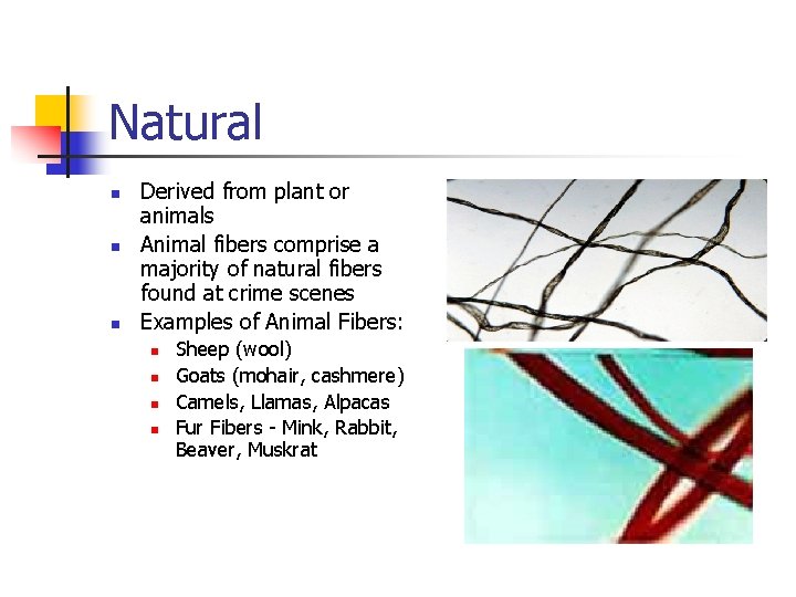 Natural n n n Derived from plant or animals Animal fibers comprise a majority