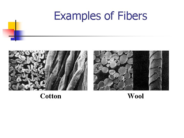 Examples of Fibers Cotton Wool 