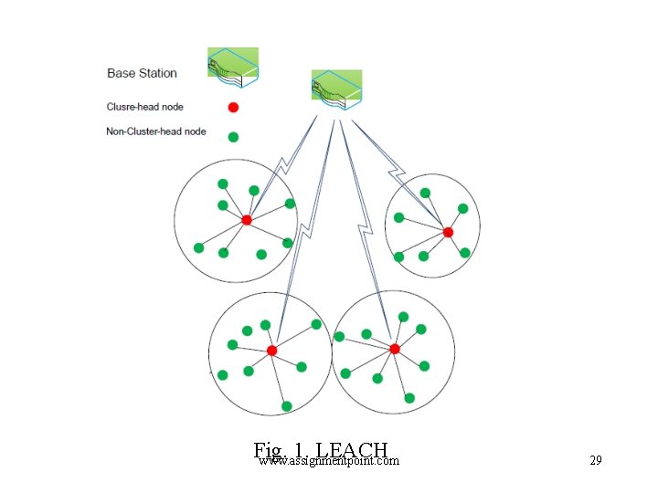 Fig. 1. LEACH www. assignmentpoint. com 29 