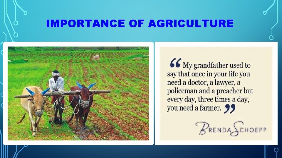 IMPORTANCE OF AGRICULTURE 