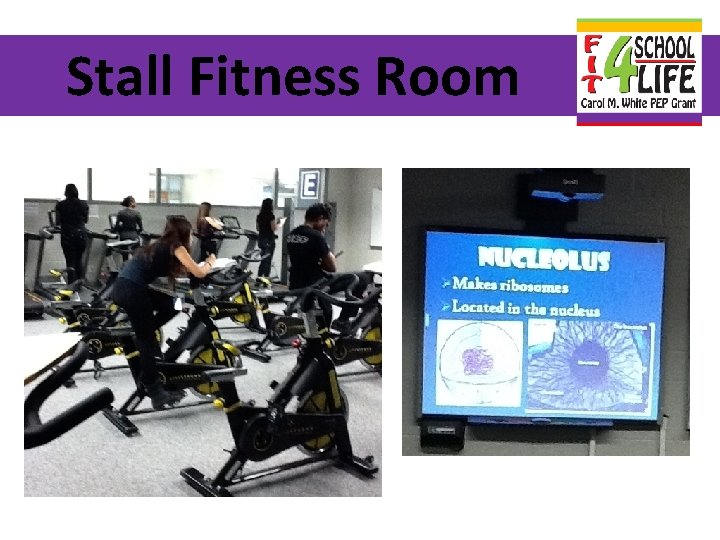 Stall Fitness Room 