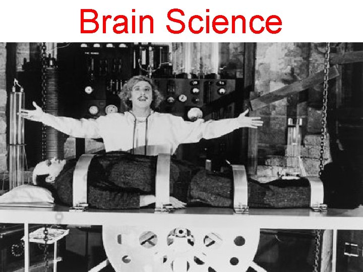 Brain Science 
