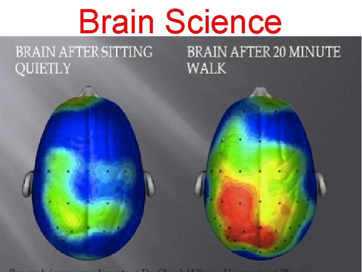 Brain Science 