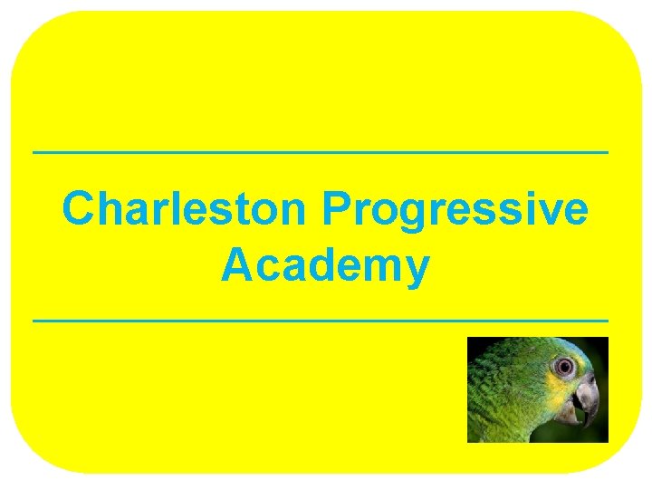 Charleston Progressive Academy 