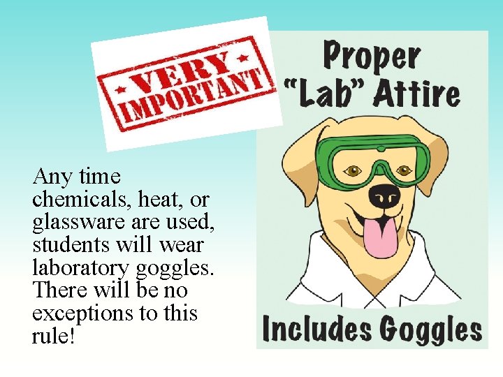 Any time chemicals, heat, or glassware used, students will wear laboratory goggles. There will