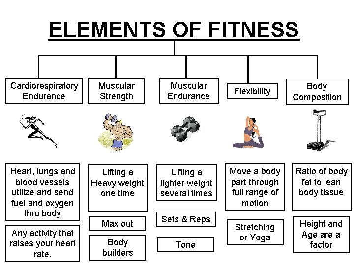 ELEMENTS OF FITNESS Cardiorespiratory Endurance Muscular Strength Muscular Endurance Heart, lungs and blood vessels