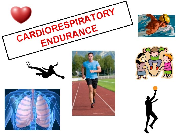 Y R O T A R I P S E R E C O