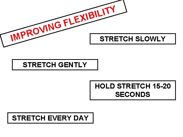 F G VIN Y T I BIL I X LE O R IMP STRETCH