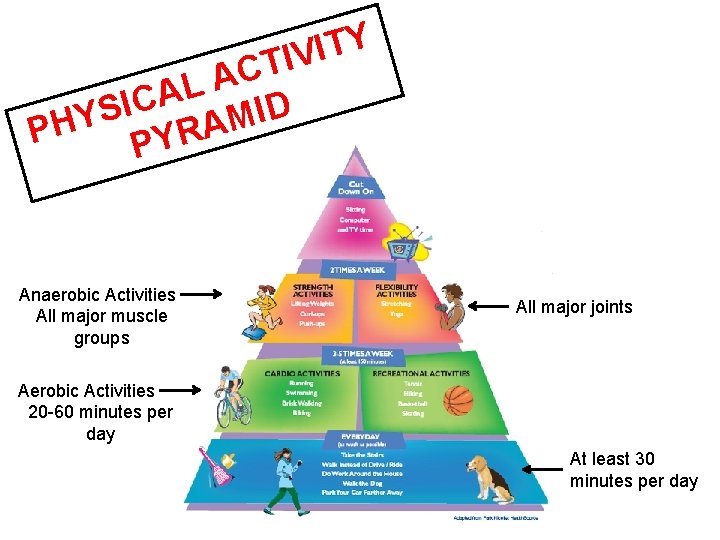 Y T I V I T C A L A C I D I