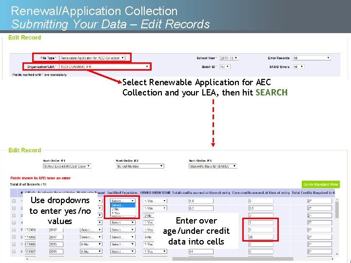 Renewal/Application Collection Submitting Your Data – Edit Records Select Renewable Application for AEC Collection