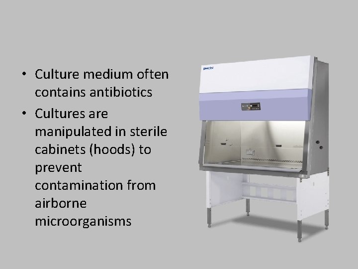  • Culture medium often contains antibiotics • Cultures are manipulated in sterile cabinets