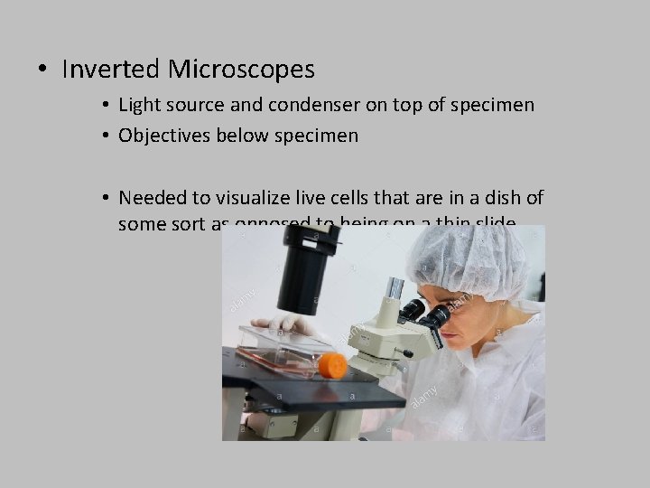  • Inverted Microscopes • Light source and condenser on top of specimen •