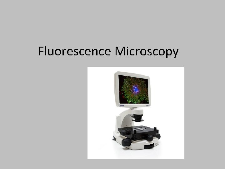 Fluorescence Microscopy 