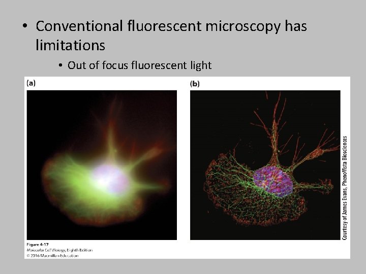  • Conventional fluorescent microscopy has limitations • Out of focus fluorescent light •