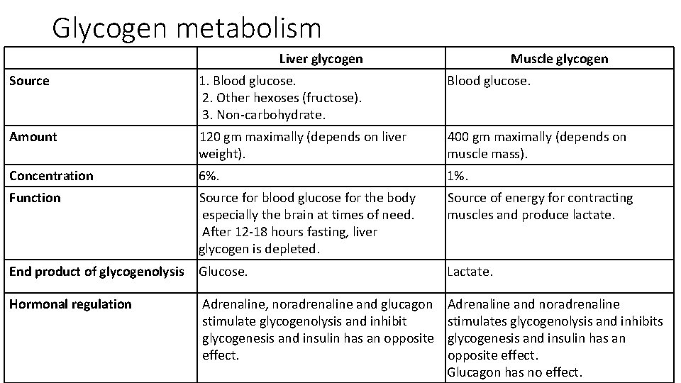 Glycogen metabolism Liver glycogen Muscle glycogen Source 1. Blood glucose. 2. Other hexoses (fructose).