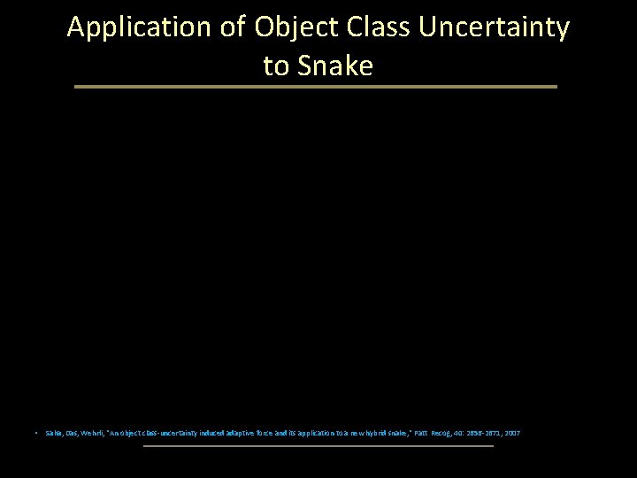 Application of Object Class Uncertainty to Snake • Saha, Das, Wehrli, "An object class-uncertainty Application of Object Class Uncertainty to Snake • Saha, Das, Wehrli, "An object class-uncertainty