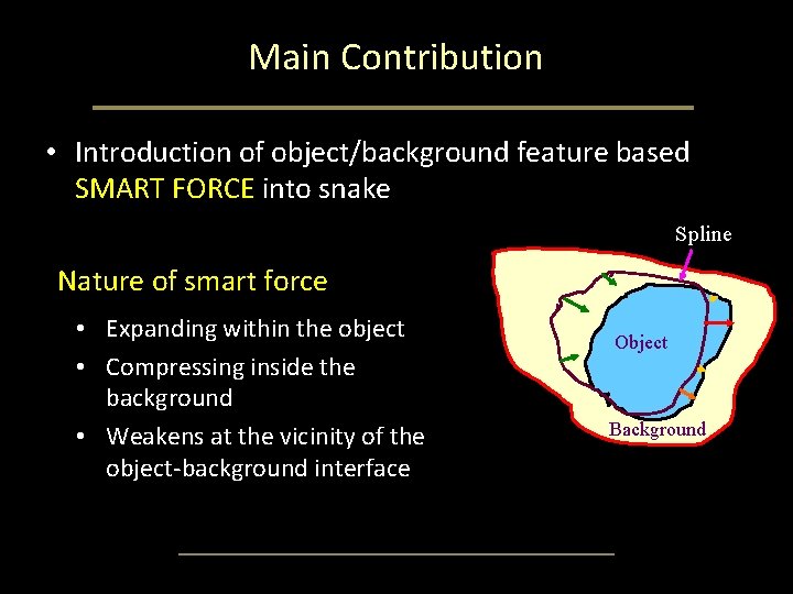 Main Contribution • Introduction of object/background feature based SMART FORCE into snake Spline Nature Main Contribution • Introduction of object/background feature based SMART FORCE into snake Spline Nature