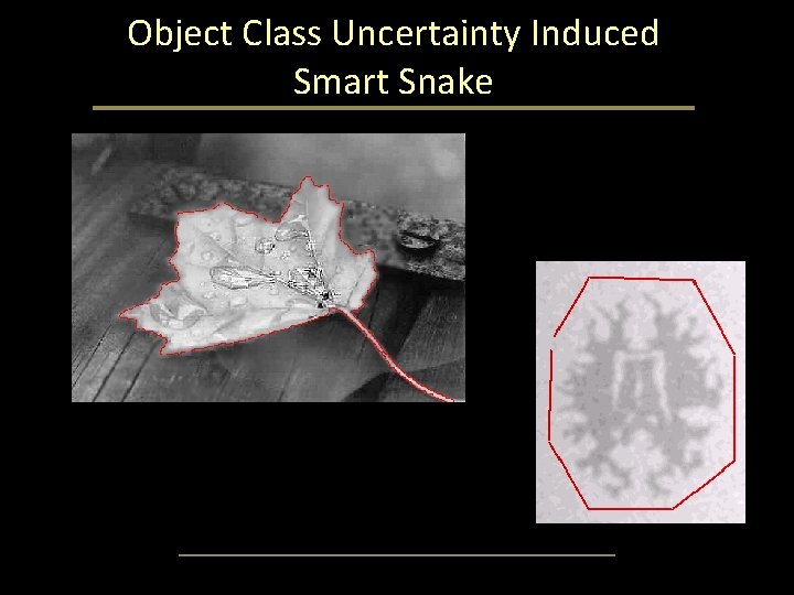 Object Class Uncertainty Induced Smart Snake Object Class Uncertainty Induced Smart Snake